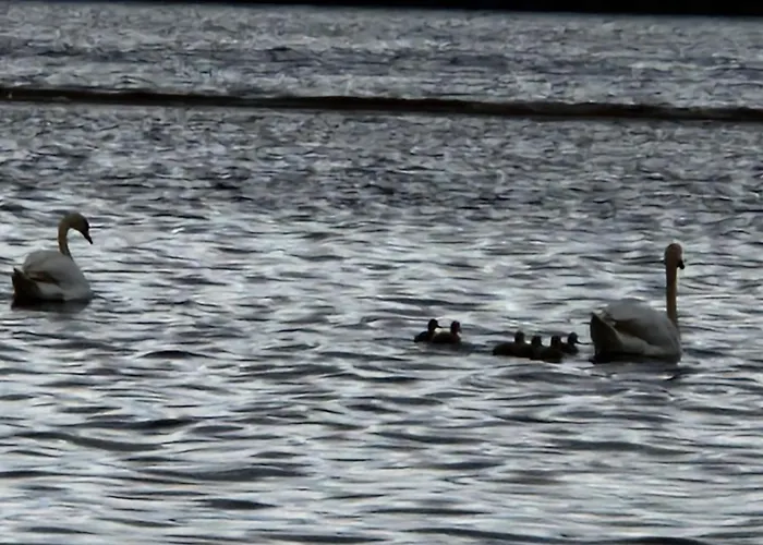 Aadelheide Family Apartment *